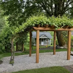 Drewniana pergola z pnączami, idealna inspiracja, jak zrobić pergolę z drewna.