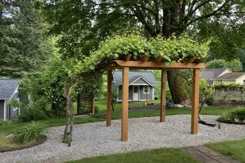 Drewniana pergola z pnączami, idealna inspiracja, jak zrobić pergolę z drewna.